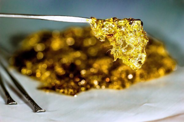 5 Differences Between Herbs and Concentrates