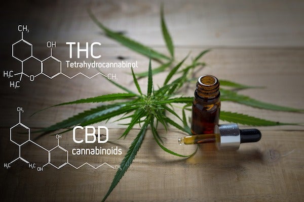 the difference between CBD and THC