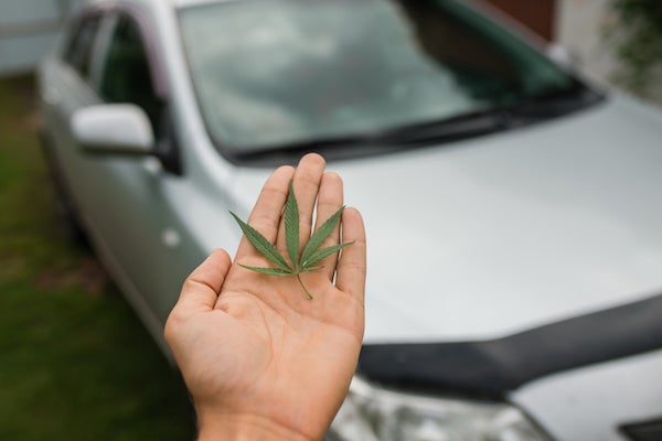 a person holding a cannabis leaf in front of a car