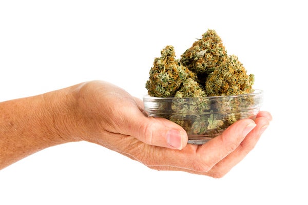 a person holding weeds in a small bowl