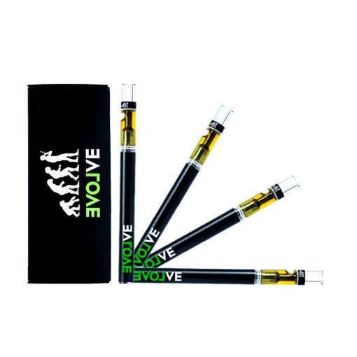 Evolve Disposable Vape Pen (1 gram)