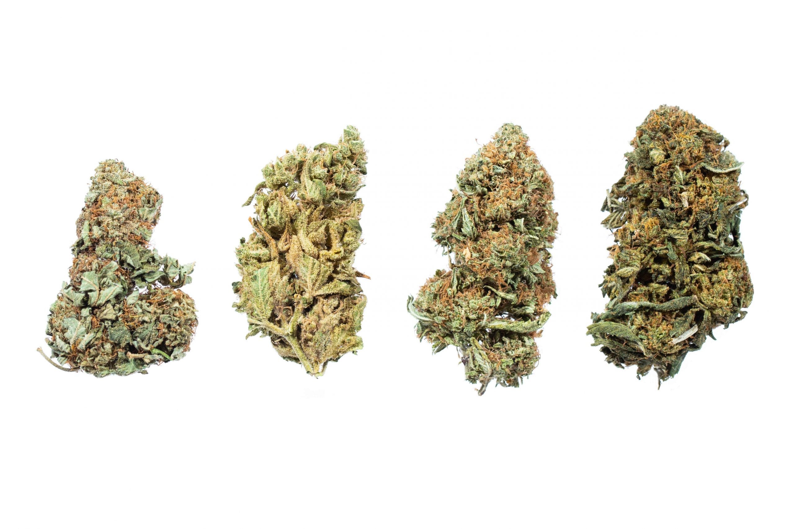 Flowers Mix and Match Strains