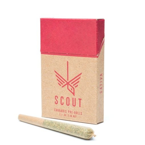 Scout Pre Rolls Stain
