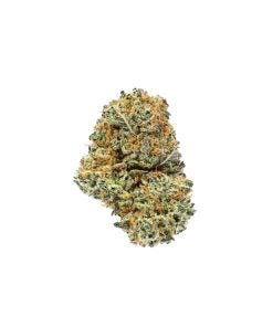 Do-Si-Dos (AAA) marijuana strain