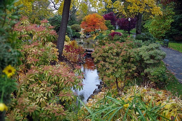 Halifax public garden