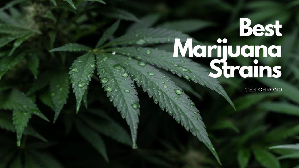 Marijuana leaf with marijuana strains text